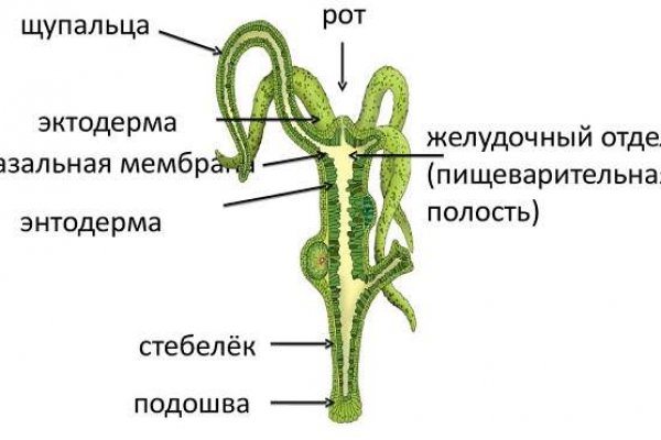 Кракен маркет даркнет скачать