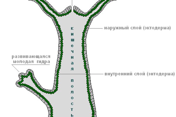 Купон кракен даркнет