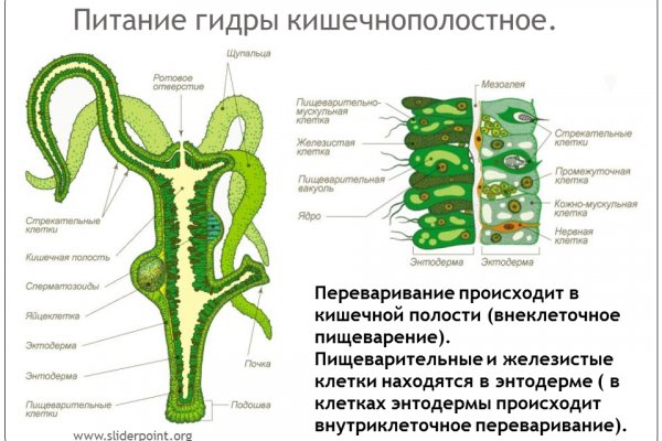 Настоящий сайт kraken