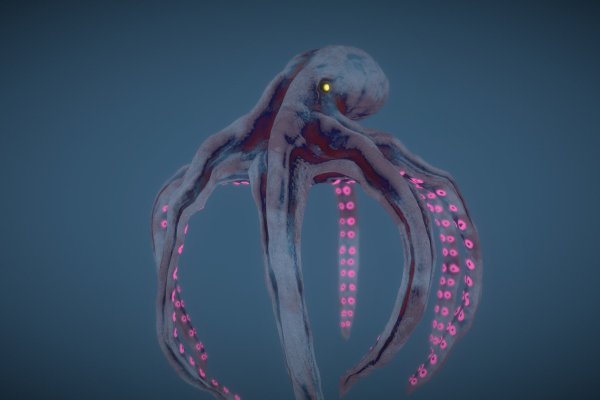 Kraken at17