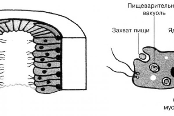 Ссылки на кракен at